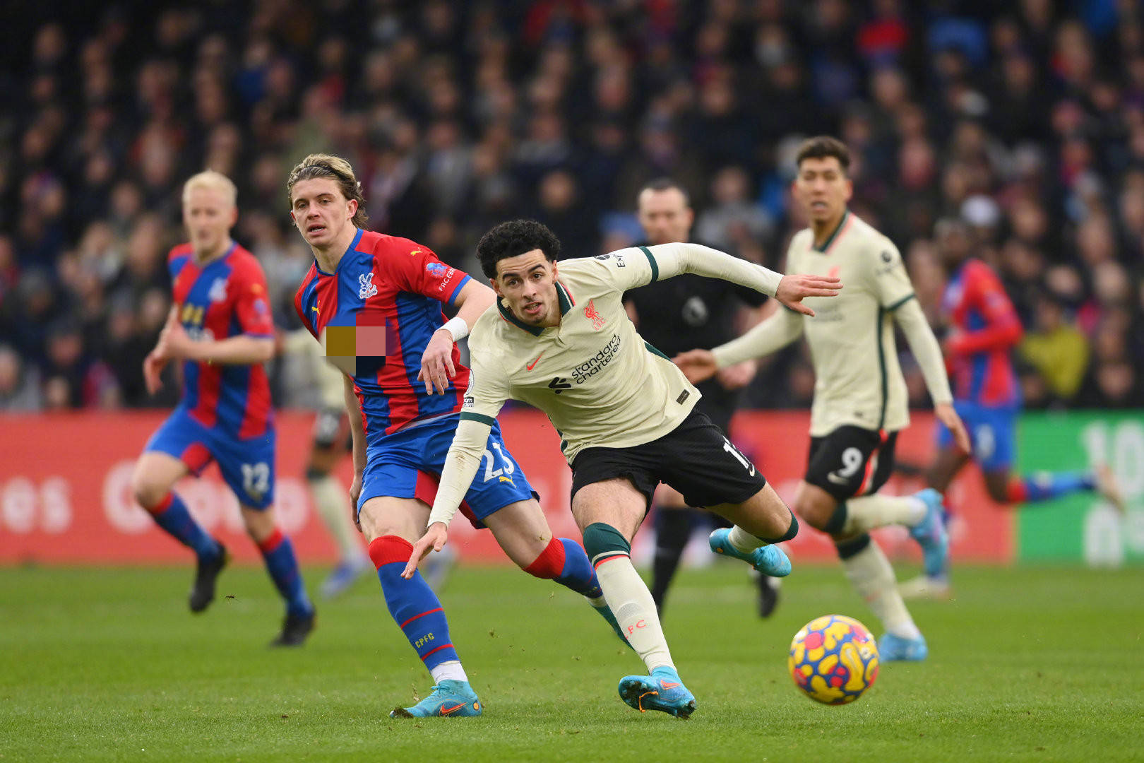 一场无可挑 一场无可挑