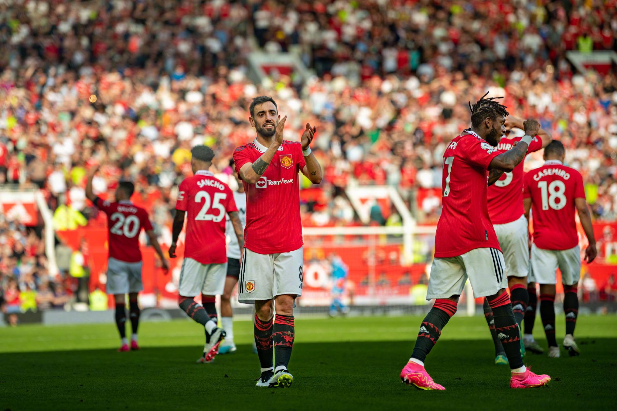 晰的指导 晰的指导